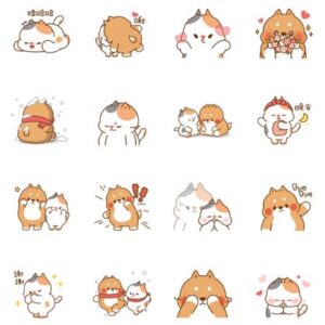 공고테스트222